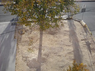 Pel esquecimento 02.JPG